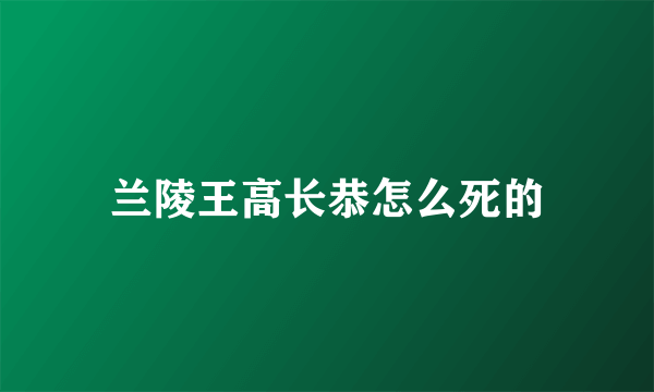 兰陵王高长恭怎么死的