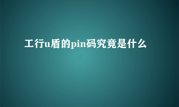 工行u盾的pin码究竟是什么