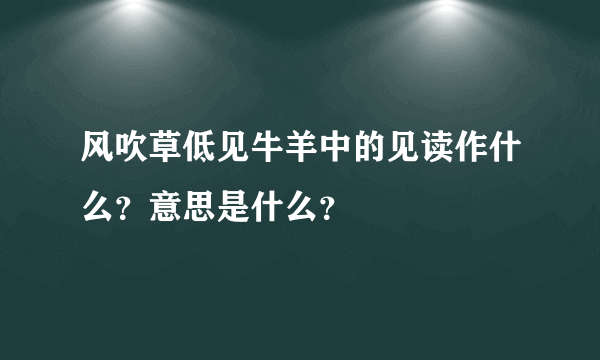 风吹草低见牛羊中的见读作什么？意思是什么？