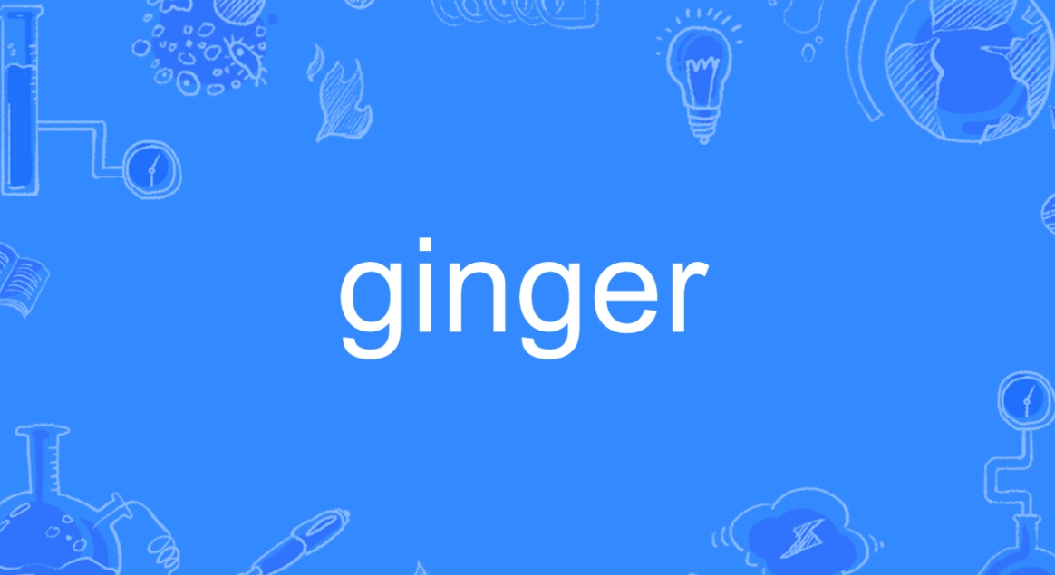 ginger什么意思