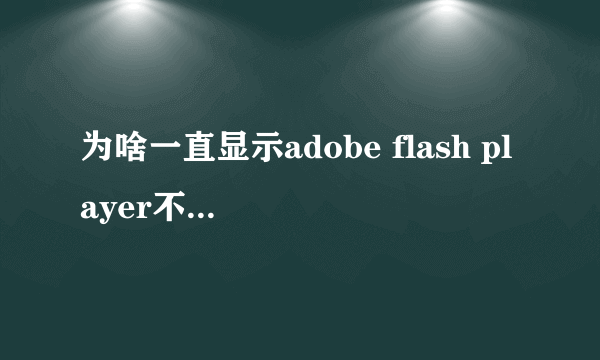 为啥一直显示adobe flash player不是最新版本