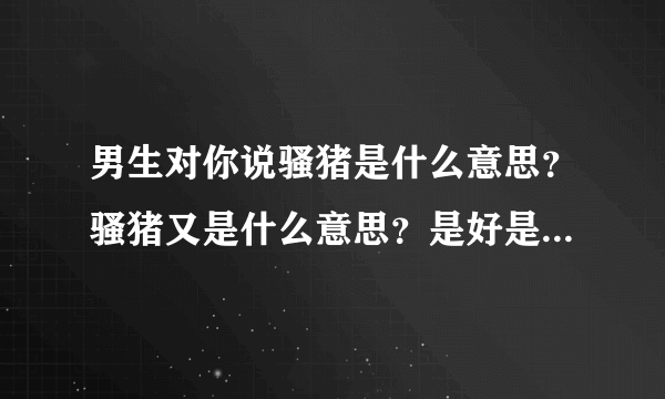 男生对你说骚猪是什么意思？骚猪又是什么意思？是好是坏？（备注：他爱玩LOL）