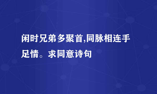 闲时兄弟多聚首,同脉相连手足情。求同意诗句