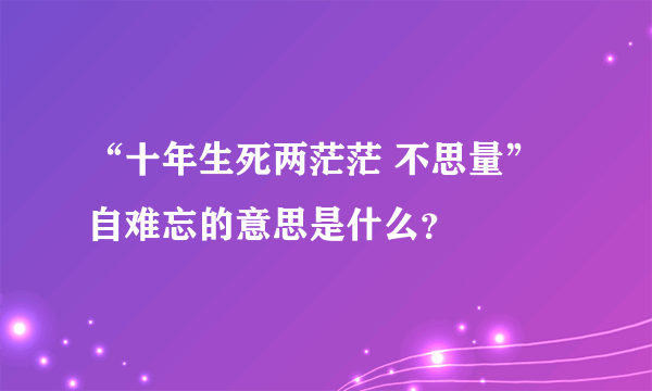 “十年生死两茫茫 不思量” 自难忘的意思是什么？