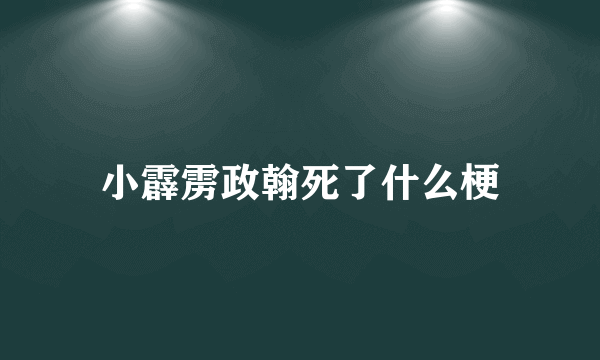 小霹雳政翰死了什么梗