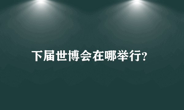 下届世博会在哪举行？