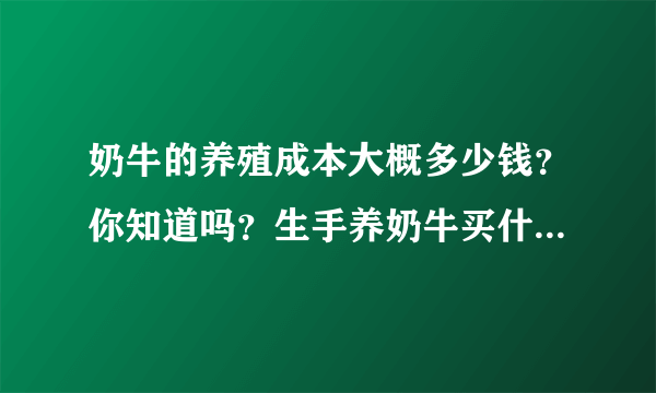 奶牛的养殖成本大概多少钱？你知道吗？生手养奶牛买什么样子的？