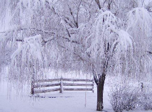 雪霁的意思是什么？