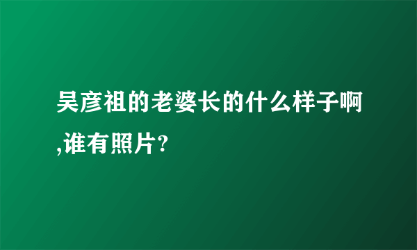 吴彦祖的老婆长的什么样子啊,谁有照片?