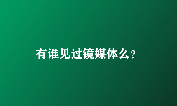 有谁见过镜媒体么？