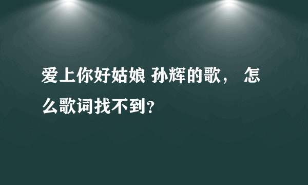 爱上你好姑娘 孙辉的歌， 怎么歌词找不到？