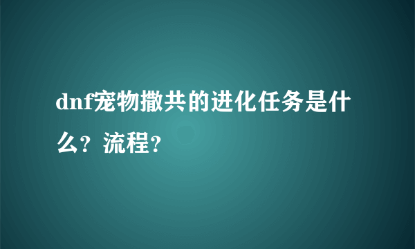 dnf宠物撒共的进化任务是什么？流程？