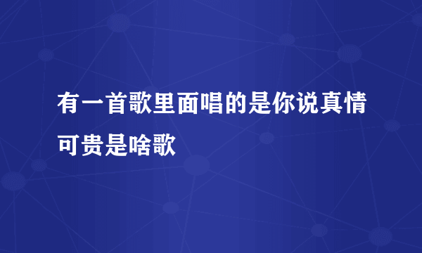 有一首歌里面唱的是你说真情可贵是啥歌