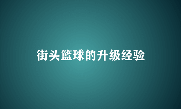 街头篮球的升级经验