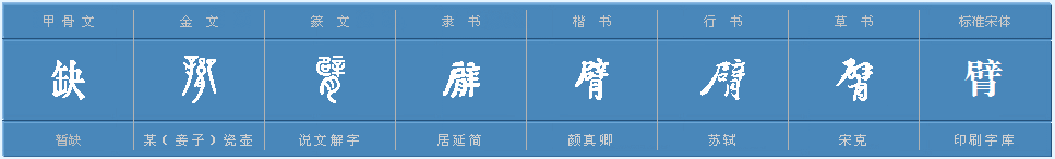 臂的多音字组词?