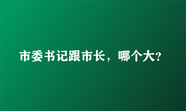 市委书记跟市长，哪个大？