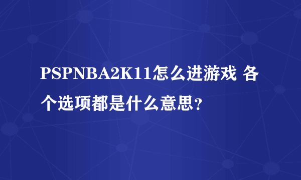 PSPNBA2K11怎么进游戏 各个选项都是什么意思？