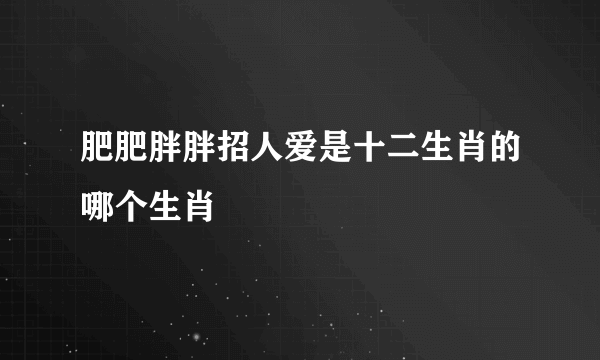 肥肥胖胖招人爱是十二生肖的哪个生肖