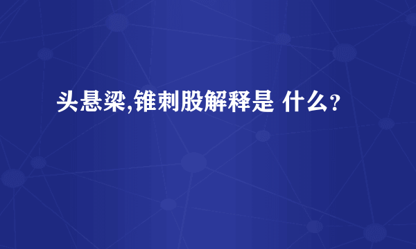 头悬梁,锥刺股解释是 什么？