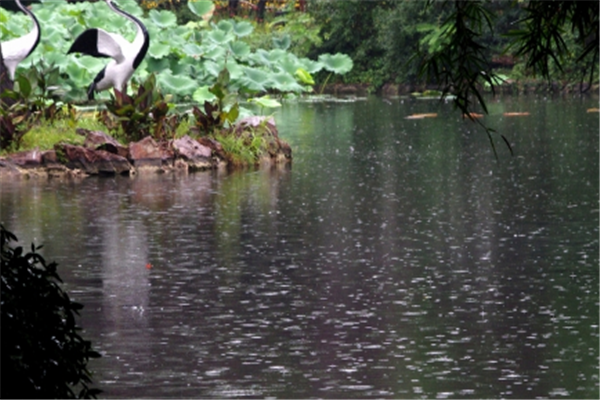 南方降雨将持续至春节前，持续降雨会造成哪些影响？