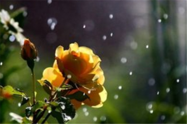 南方降雨将持续至春节前，持续降雨会造成哪些影响？