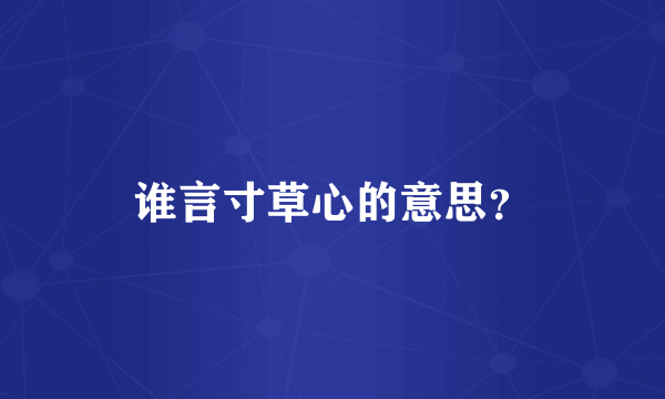 谁言寸草心的意思？