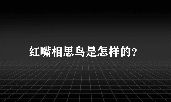 红嘴相思鸟是怎样的？