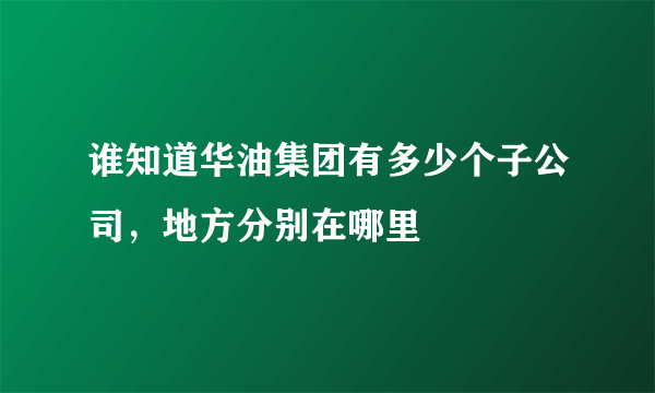 谁知道华油集团有多少个子公司，地方分别在哪里