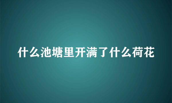 什么池塘里开满了什么荷花