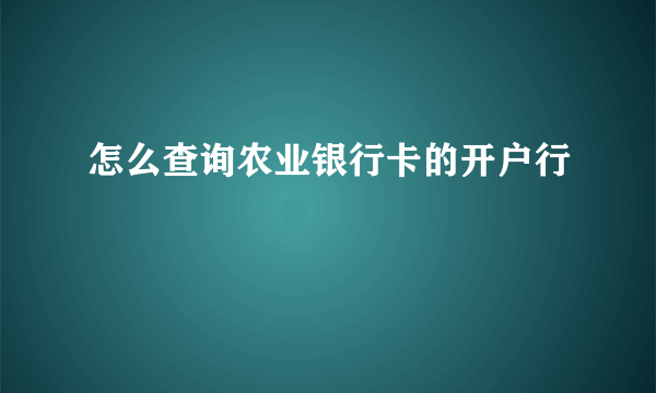 怎么查询农业银行卡的开户行