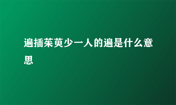 遍插茱萸少一人的遍是什么意思