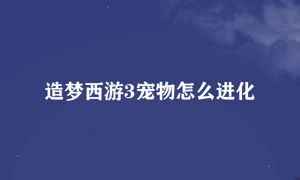 造梦西游3宠物怎么进化