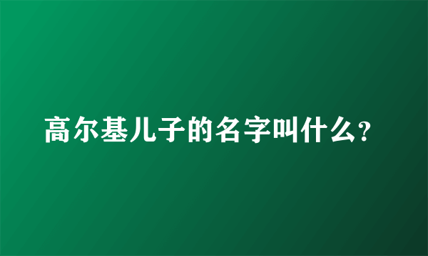 高尔基儿子的名字叫什么？