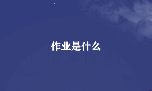 作业是什么