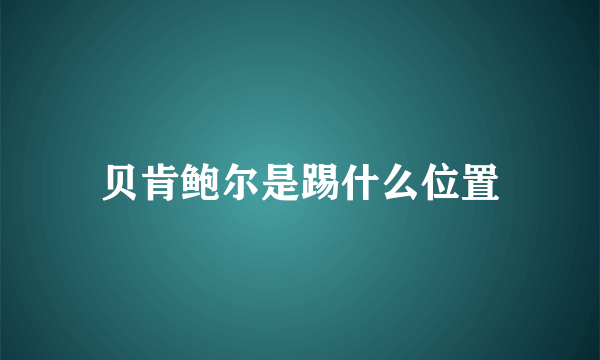 贝肯鲍尔是踢什么位置