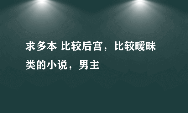 求多本 比较后宫，比较暧昧类的小说，男主