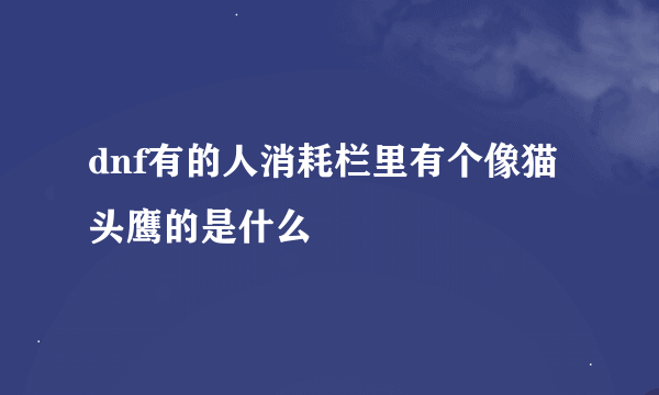 dnf有的人消耗栏里有个像猫头鹰的是什么