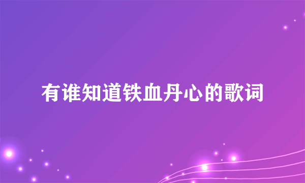 有谁知道铁血丹心的歌词