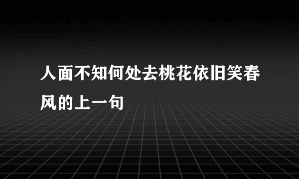 人面不知何处去桃花依旧笑春风的上一句