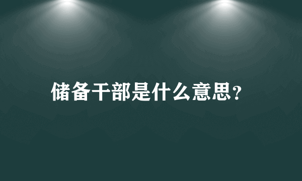 储备干部是什么意思？