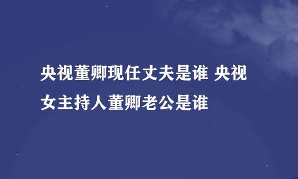 央视董卿现任丈夫是谁 央视女主持人董卿老公是谁