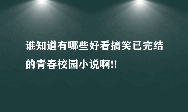 谁知道有哪些好看搞笑已完结的青春校园小说啊!!