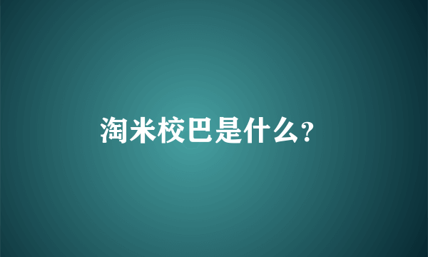 淘米校巴是什么？