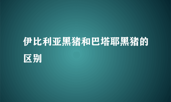 伊比利亚黑猪和巴塔耶黑猪的区别