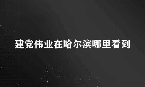 建党伟业在哈尔滨哪里看到