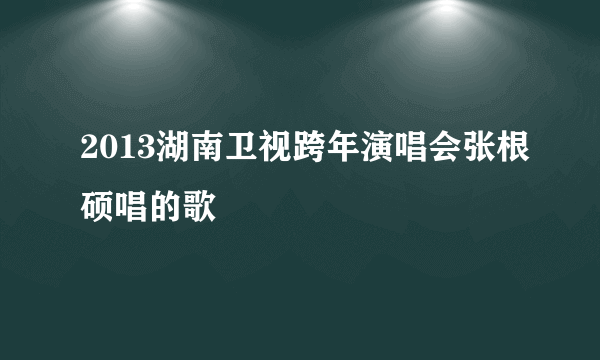 2013湖南卫视跨年演唱会张根硕唱的歌