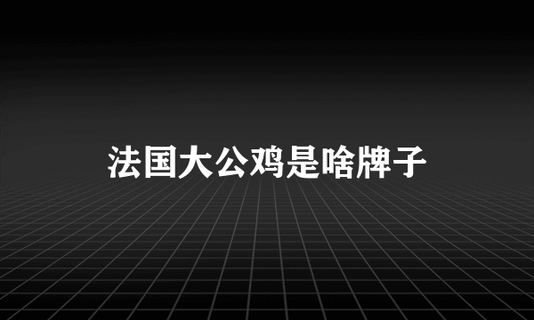 法国大公鸡是啥牌子