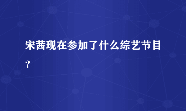 宋茜现在参加了什么综艺节目？