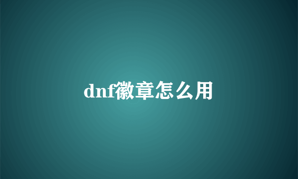 dnf徽章怎么用