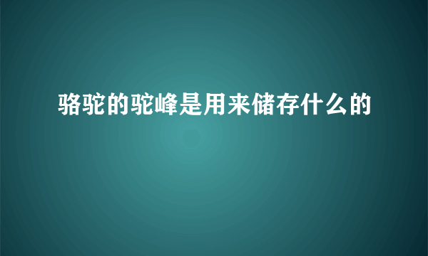 骆驼的驼峰是用来储存什么的